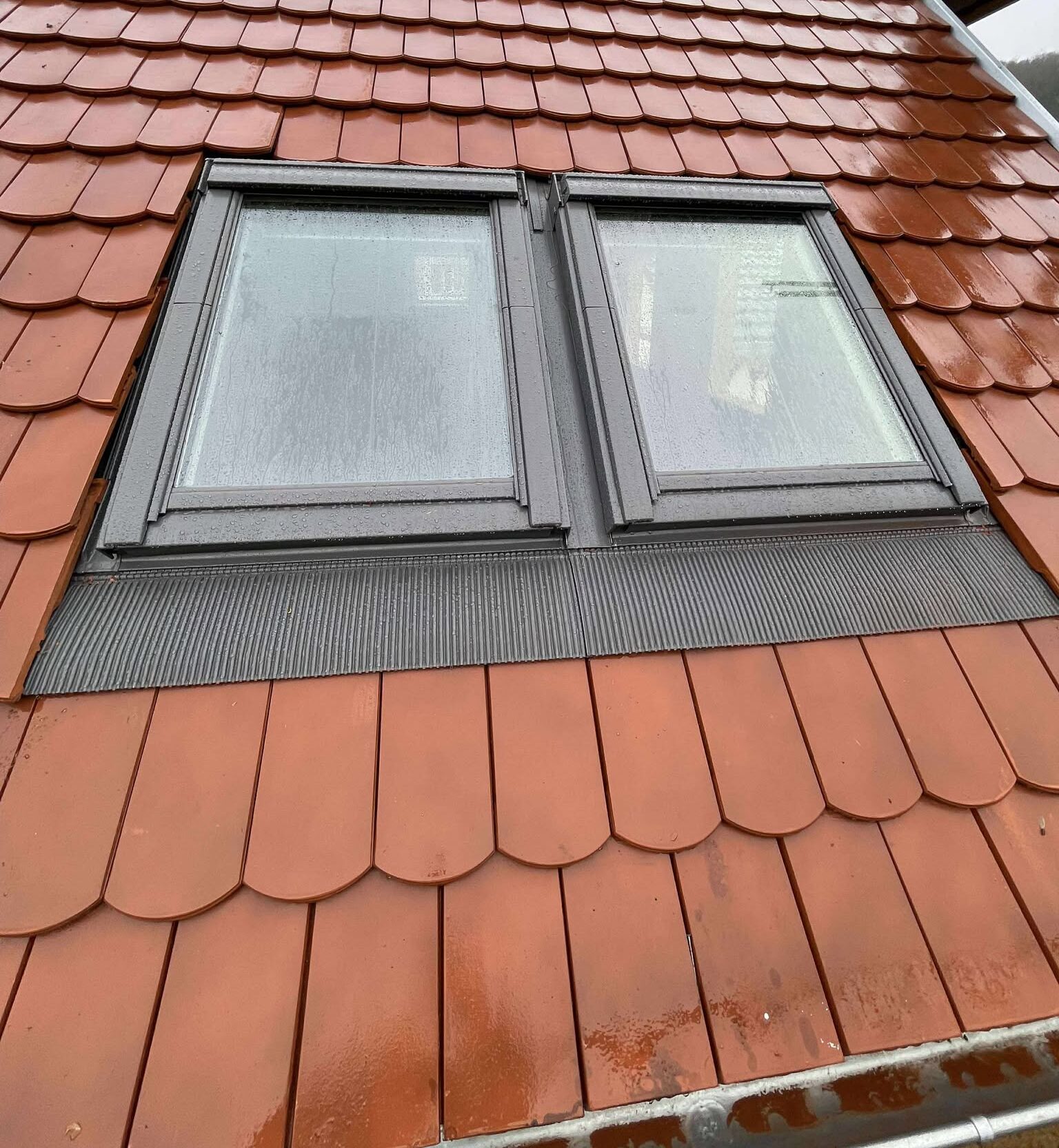 576882581 1351806053268796 2826547052134611603 n