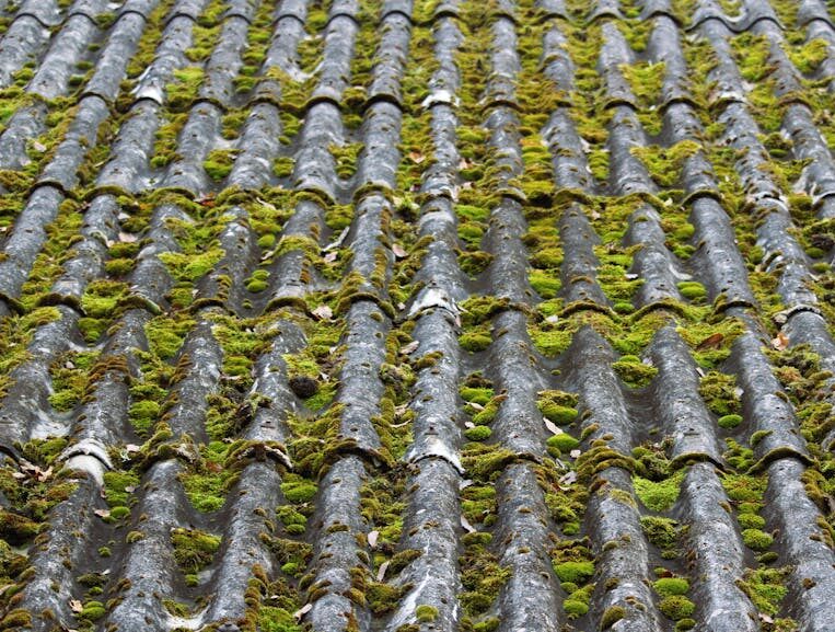 Free stock photo of abandoned, dirty, green moss